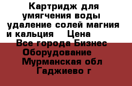 Картридж для умягчения воды, удаление солей магния и кальция. › Цена ­ 1 200 - Все города Бизнес » Оборудование   . Мурманская обл.,Гаджиево г.